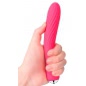 Vibrator Cu Incalzire Anya Plum Roz