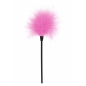 Feather Tickler Roz