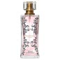 PheroStrong Pheromone for Women 50ml