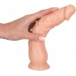 Set Dildo Anal Training Natural