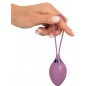 Beau Coeur ROVANA RC — 10 Funcții, 6 Intensități, Discret Mov