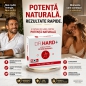4 Capsule Dr. Hard+ Pentru Potență Naturală