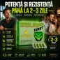 4 Pastile Green Snake Potență Și Rezistență 2–3 Zile