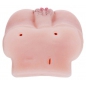 Masturbator Realistic Lifelike Vibrating