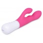 Lovense Nora Vibrator Roz