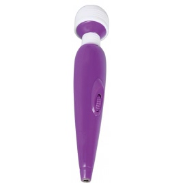 Vibrator Passion Pointer Mini Mov pe xBazar