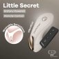Little Secret Vibrator Pentru Chiloți Satisfyer Gri