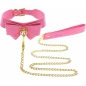 Collar and Leash Roz