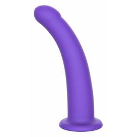 Harness Dong M pe xBazar