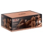 Mistress Basilia Torso Masturbator 3 Orificii Impermeabil