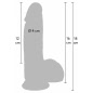 Hidden Desire Dildo Realist 16cm Silicon Dual