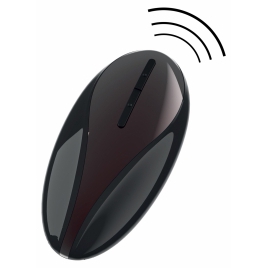 Hidden Desire Vibrator Anal cu Împingere Negru