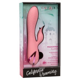 Vibrator Pasadena Player Roz