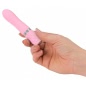 Mini Vibrator Pillow Talk Flirty Vibe Roz