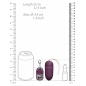 Vibrator 10 Speed Remote Vibrating Egg Big Mov