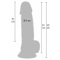 Hidden Desire — Dildo Realist 21 cm cu Ventuză Discretă