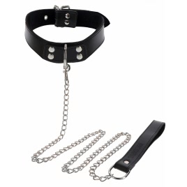 Elegant Collar and Chain Leash pe xBazar