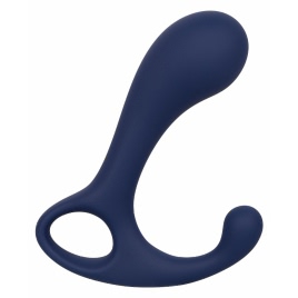 Stimulator Prostata Viceroy Direct Probe pe xBazar