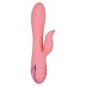 Vibrator Pasadena Player Roz