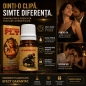 Afrodisiac Spanish Fly Love Potion 10ml