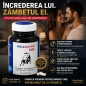 BullBlood, 60 Capsule Pentru Vitalitate Masculină