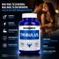 Capsule Potentă Tribulus 100buc