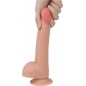 Dildo Realistic 20cm Dual-Layered