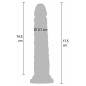 Dildo Realistic Deluxe Dual Density 7 Natural