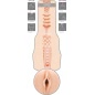 Fleshlight Dillion Harper Natural