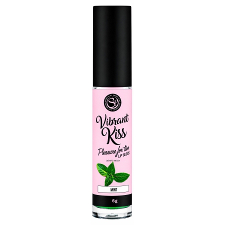 Lip Gloss Vibrant Kiss Mentă 6 g