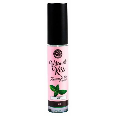 Lip Gloss Vibrant Kiss Menta 6 g