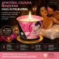 Massage Candle Shunga Aphrod 170g