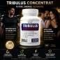 Natmed Pharma Tribulus Ultra Concentrated 120 capsules