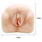 Masturbator Pasarica Ultrarealista Natural