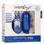 Vibrator Egg 10 Speed Remote Big Albastru