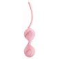 Bile Vaginale Pretty Love Kegel Roz