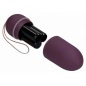 Vibrator 10 Speed Remote Vibrating Egg Big Mov