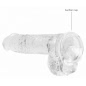 Ultra Realistic 17cm Cu Testicule Transparent