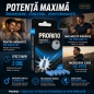 Pastile Potență Prorino 5capsule