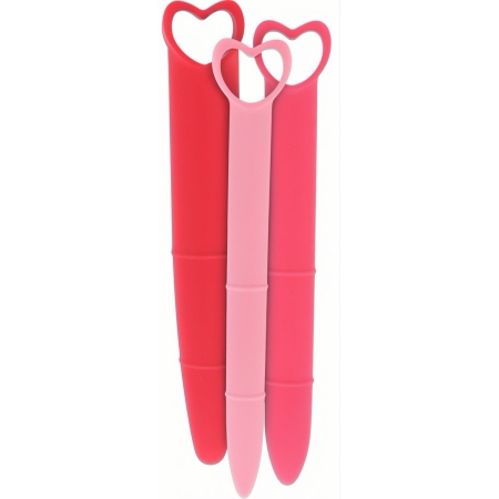 Set Dilatatoare Vaginale Intimate Health Roz