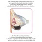 Set Pompa Sani Medium Rose Gold