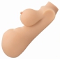 Stroke It Body