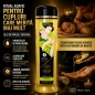 Ulei De Masaj Shunga Asian Fusion 250 ml