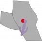Vibrator 3 Pointer Mov