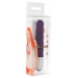 Vibrator Discretion Ribbed Mov