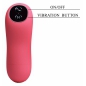 Vibrator Pretty Love Fancy Clamshell Roz