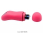 Vibrator Pretty Love Fancy Clamshell Roz