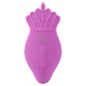 Vibrator Punct G Panty Sweet Smile Roz
