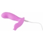 Vibrator Punct G Panty Sweet Smile Roz