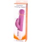 Vibrator Rabbit Euphoric Rotating Reincarcabil Roz